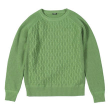 Load image into Gallery viewer, SIMWOOD 2019 Autumn Winter New cable-knit sweater men raglan design core yarn anti-pilling knitwear high quality plus size 732